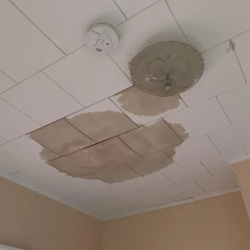 Ceiling Water Damage Repair in Lawrence County, OH