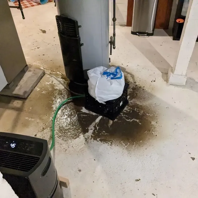 Sewage Backup Cleanup Service in Lawrence County, OH